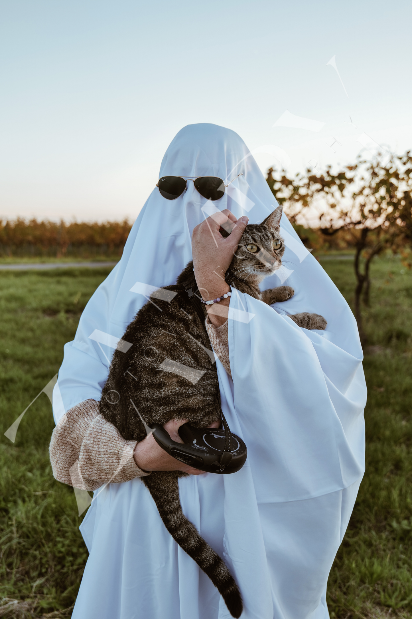10 Photos Halloween Digitales – Pack Téléchargeable