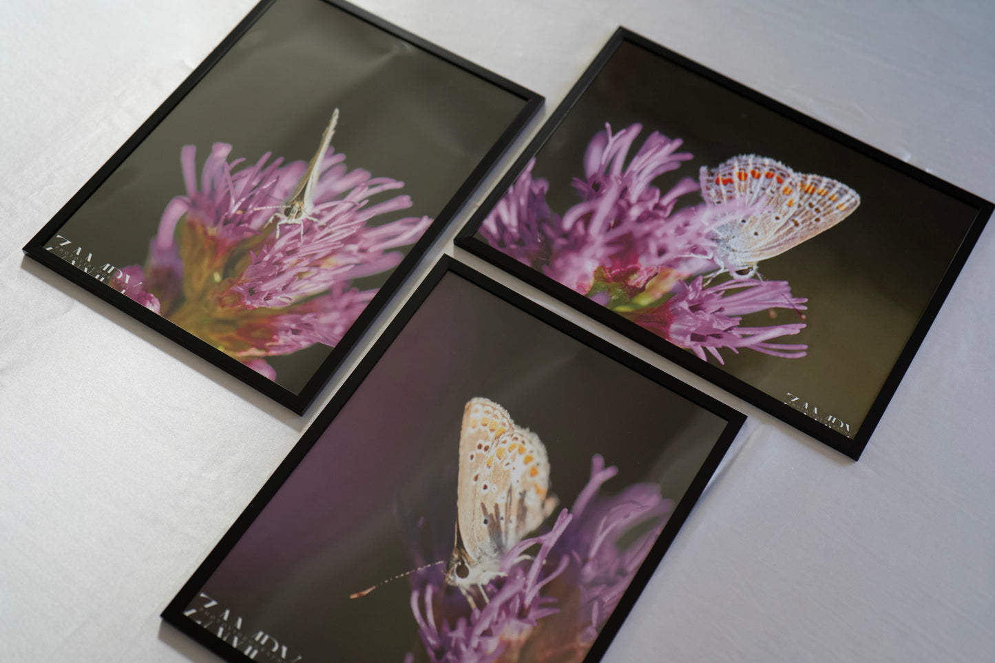 Éclosion Sauvage – Lot de 3 cadres signés (30x40 cm)