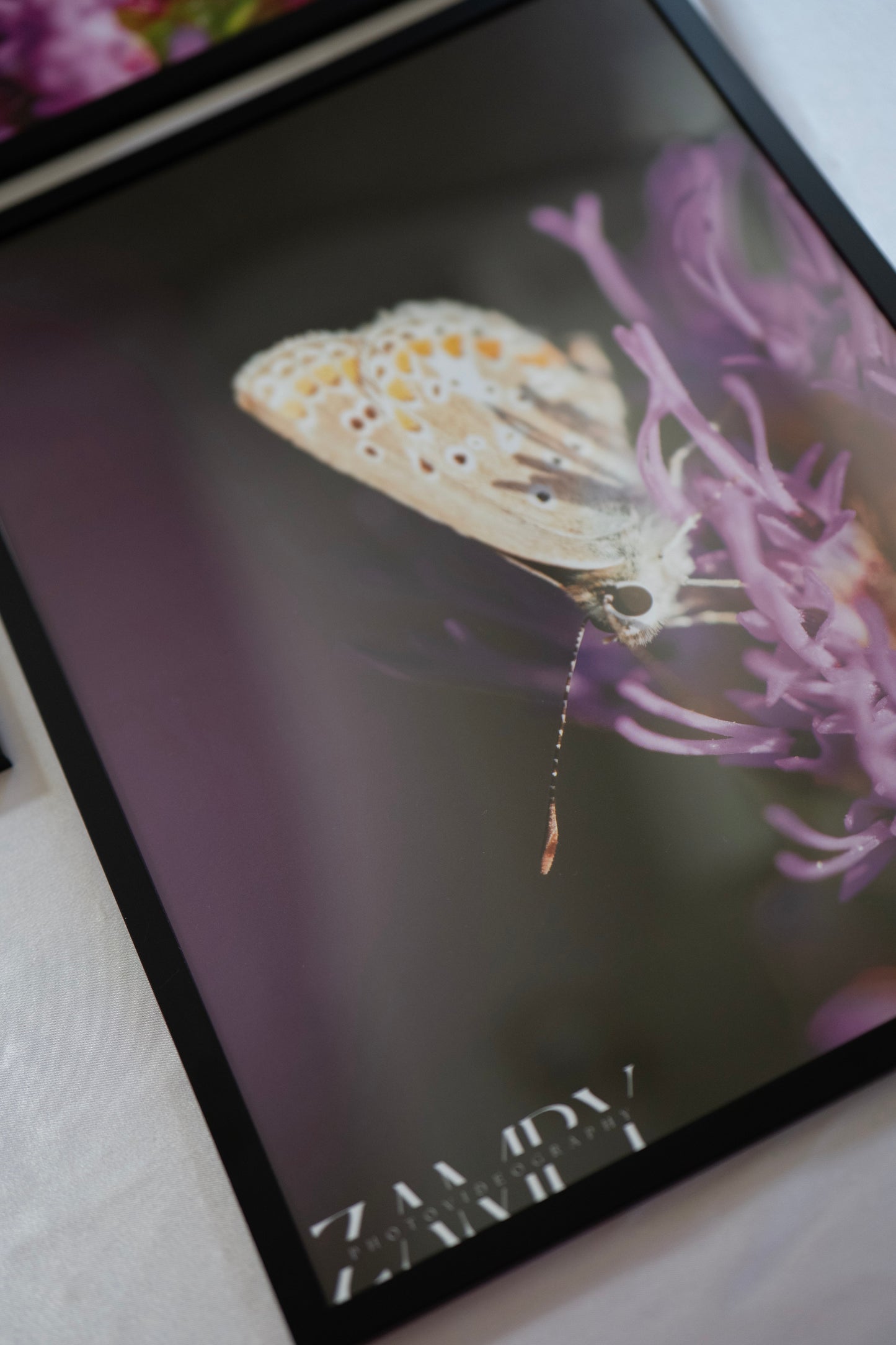 Éclosion Sauvage – Lot de 3 cadres signés (30x40 cm)